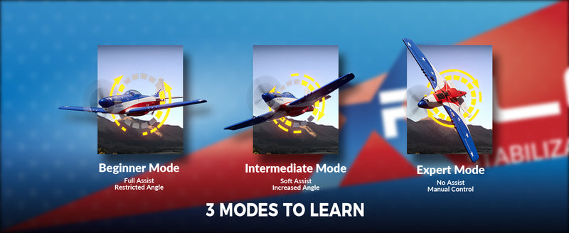 VOLANTEXRC 4-CH Airplanes P51 Mustang
