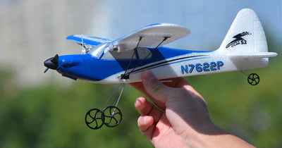 Trainer RC Planes EXHOBBY Dealer.