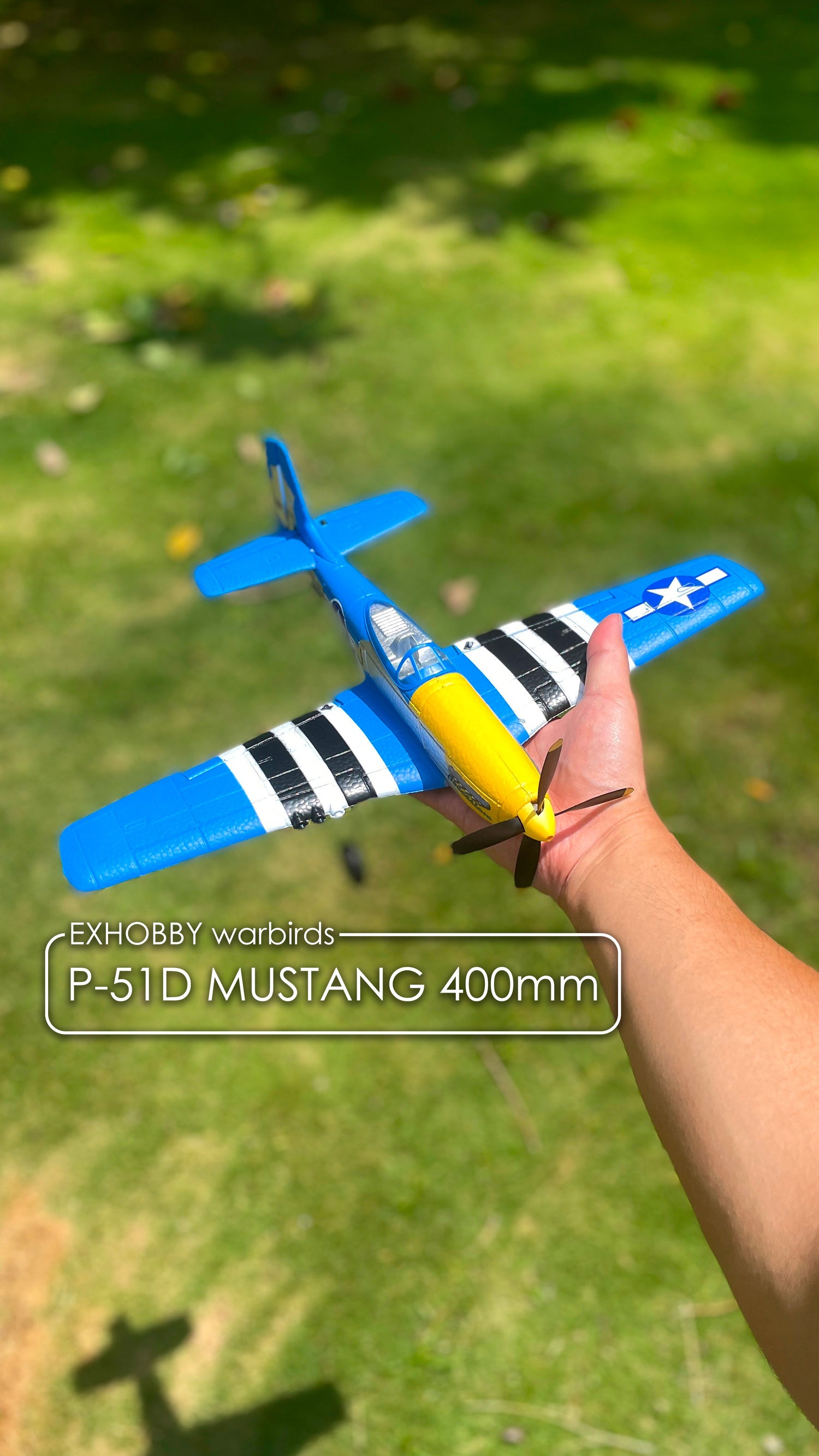Park Flyer RC Planes EXHOBBY Dealer.