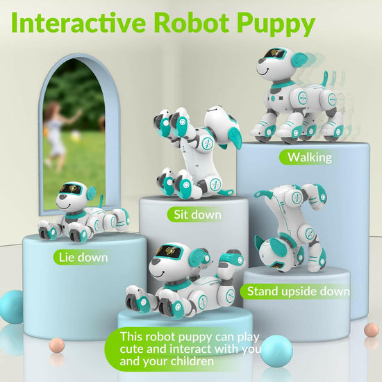 STEMTRON Programmable Interactive & Smart Dancing Remote Control Robot Dog Toy(Blue) EXHOBBY Dealer.