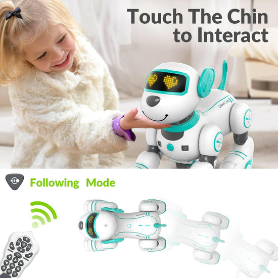 STEMTRON Programmable Interactive & Smart Dancing Remote Control Robot Dog Toy(Blue) EXHOBBY Dealer.