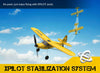VOLANTEXRC Sport Cub 3ch Remote Control Airplane for Beginners Xpilot Stabilizer Easy Fly EXHOBBY Dealer.