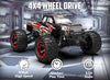 Racent 1:16 Remote Control Car 30MPH High Speed 4WD Off-Road RC Monster Truck Red (With Green Car Shell) EXHOBBY Dealer.
