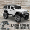 RACENT RCS24 Off Road 1/24 RC Rock Crawlers with LED 4WD Remote Control Truck EXHOBBY Dealer.
